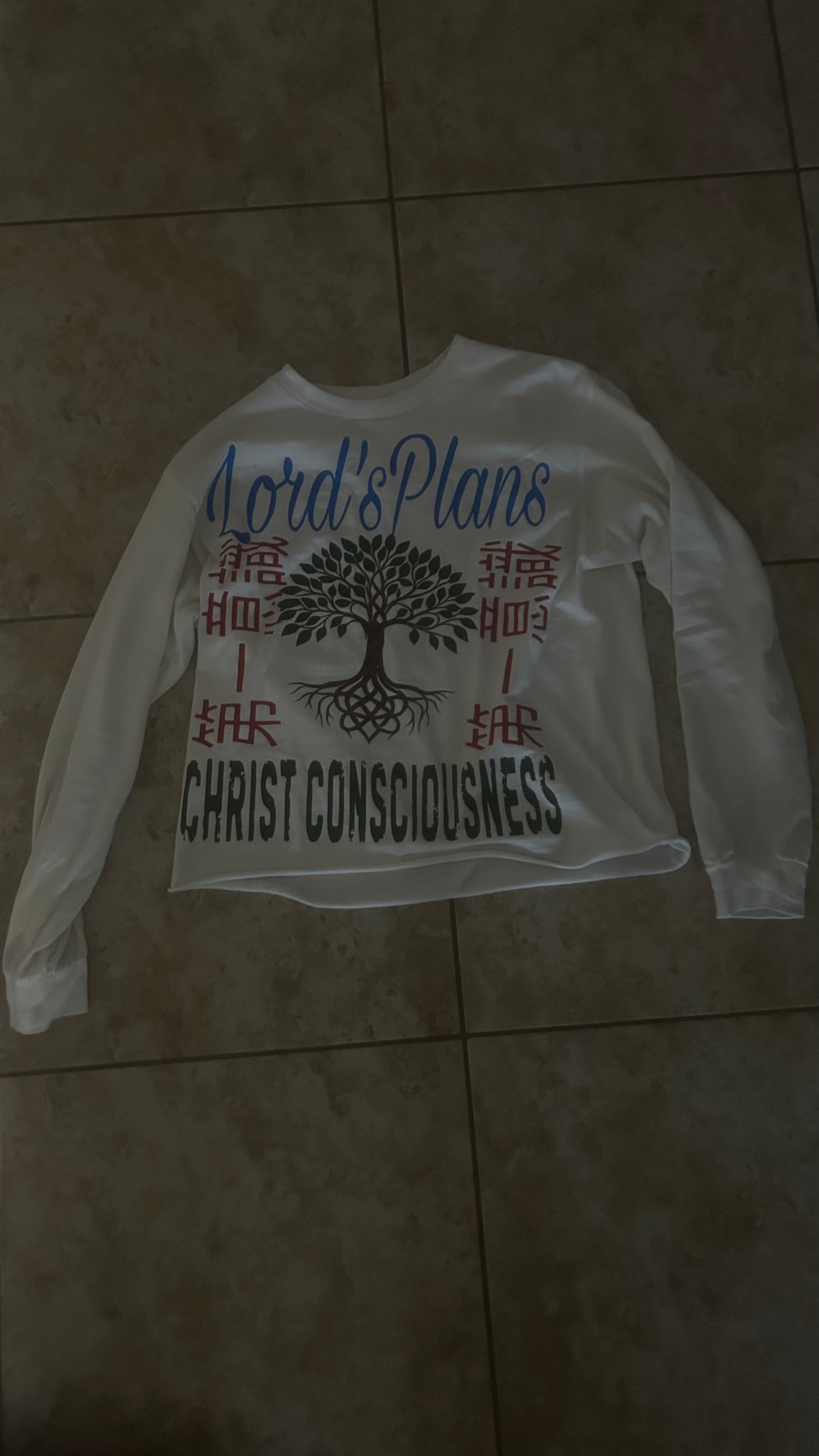 christ consciousness long sleeve